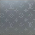 Monogram Titanium Canvas